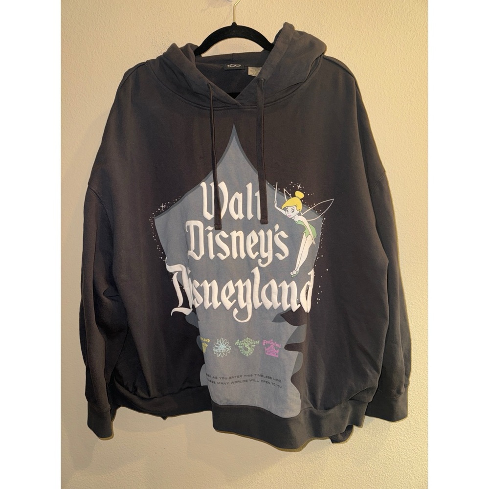 Disney 100 Tinkerbelle Walt Disney’s Disneyland Grey Hoodie Size 2X